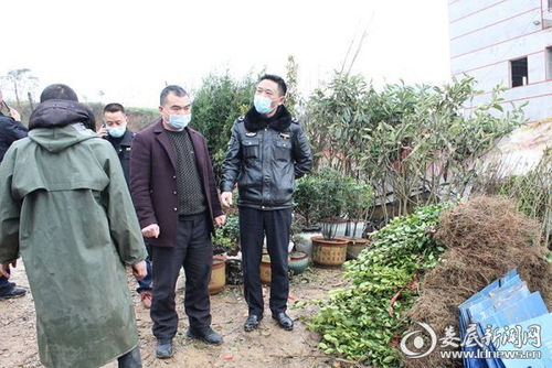 新化县林业局开展春季苗木专项整治执法活动